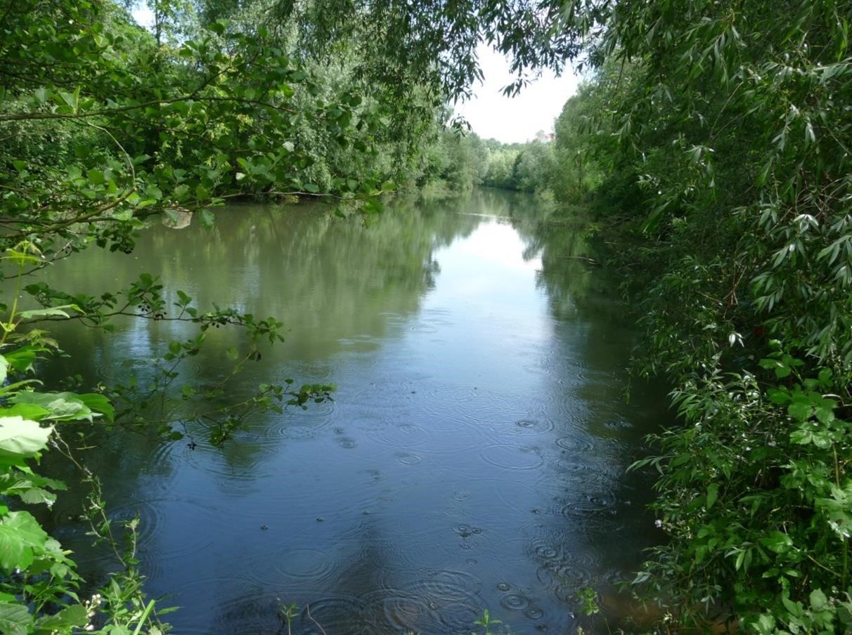 Panoramabild Schäferwiesen